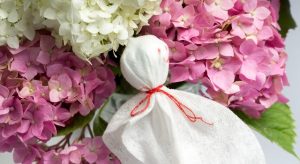 梅雨入り前の準備は？