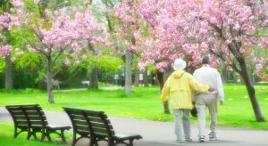 デイサービスでの楽しみ♪