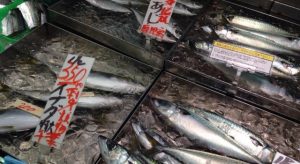 魚市場の社員食堂