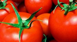 栄養士がおしえるトマトで夏バテ予防！