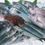 給食会社の栄養士がおしえる魚料理のススメ