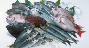 給食会社の栄養士がおしえる魚料理のススメ