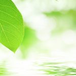 委託給食の麺メニュー 夏の定番冷し麺