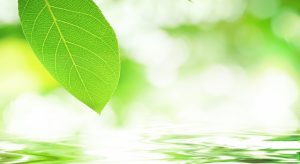 委託給食の麺メニュー　夏の定番冷し麺