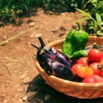 無料で野菜を手に入れる方法を知りたい人は他にいませんか？