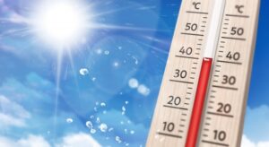 猛暑の夏の熱中症対策。身体の中のヒートアップを防ぐには？？