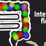 腸内フローラが変わる！腸内フローラで変わる！？コロナ予防も腸活から