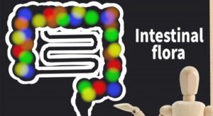 腸内フローラが変わる！腸内フローラで変わる！？コロナ予防も腸活から