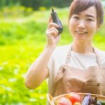 気温が上がる季節は、夏野菜を食べて体調管理を！