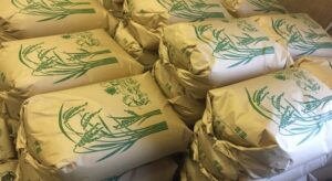 「米余り」の危機？！米を食べて農家さんを応援しよう
